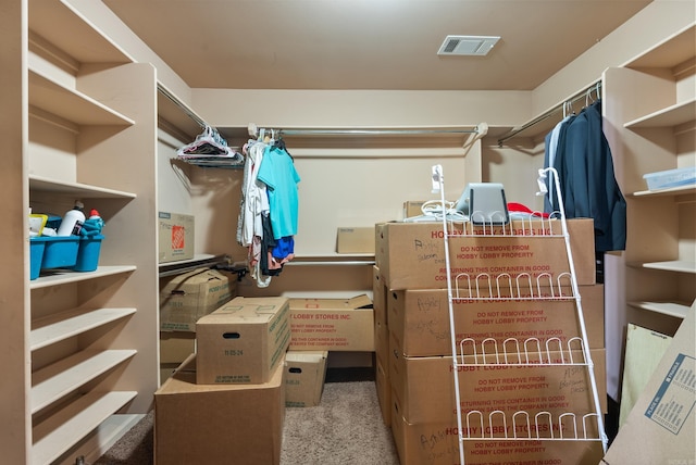 spacious closet featuring light colored carpet