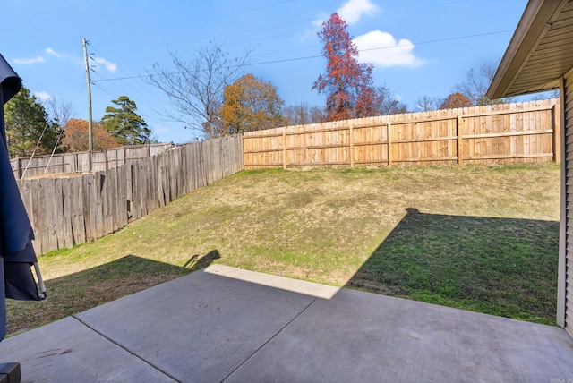 view of yard with a patio area