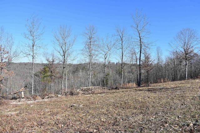 Address Not Disclosed, Harriet AR, 72639 land for sale