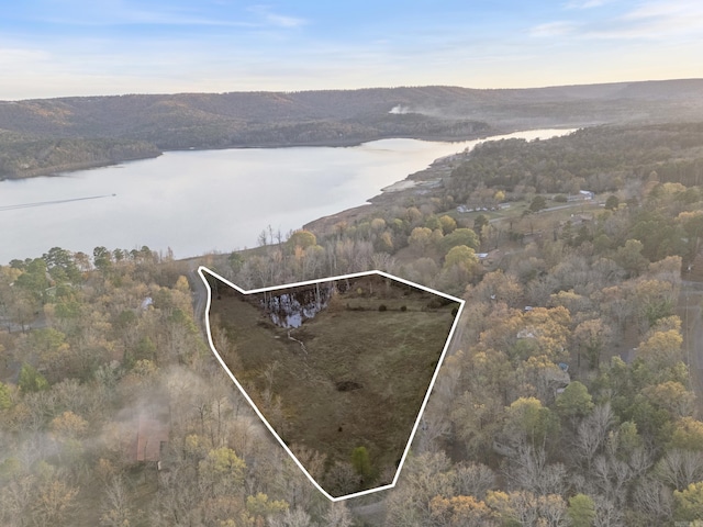 Listing photo 3 for TBD Choctaw Landing, Clinton AR 72031