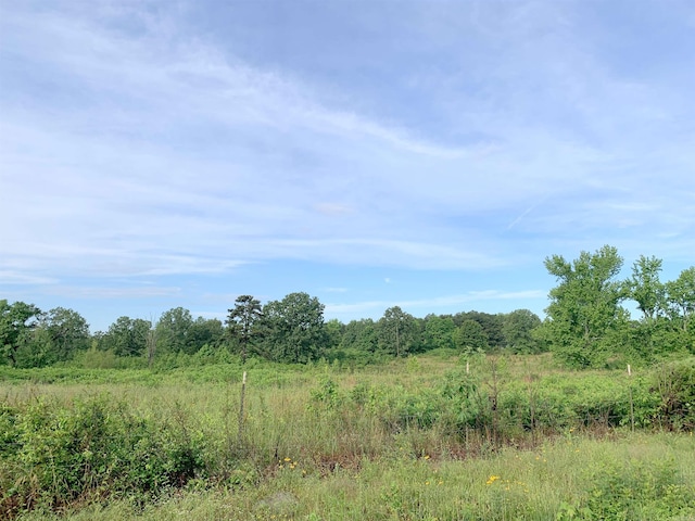 C A Holland Rd, Quitman AR, 72131 land for sale