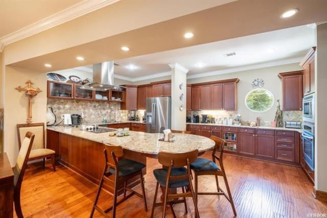 kitchen with kitchen peninsula, light wood-type flooring, island exhaust hood, and appliances with stainless steel finishes