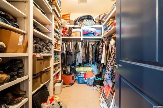 spacious closet featuring carpet flooring