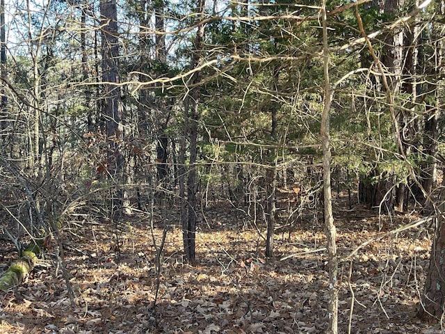 Listing photo 2 for LOT38RBLOCK3 Mountain Ranch Dr, Fairfield Bay AR 72088