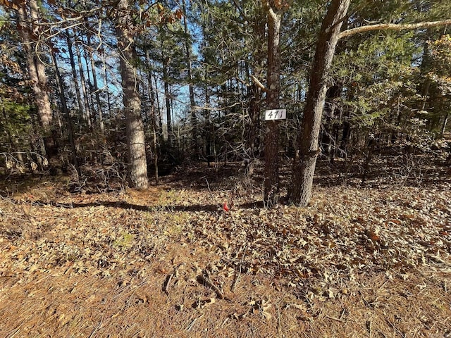 Listing photo 3 for LOT38RBLOCK3 Mountain Ranch Dr, Fairfield Bay AR 72088