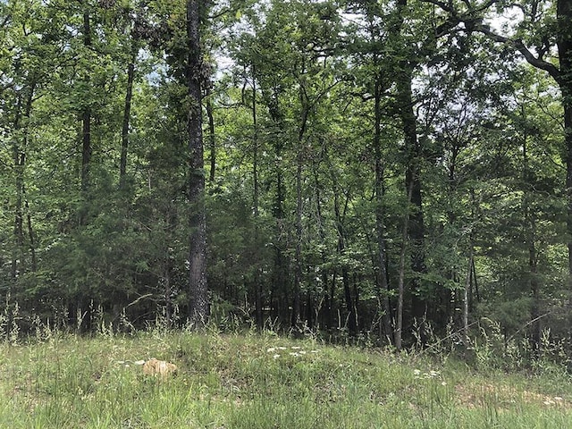 Altakima Cir, Cherokee Village AR, 72529 land for sale