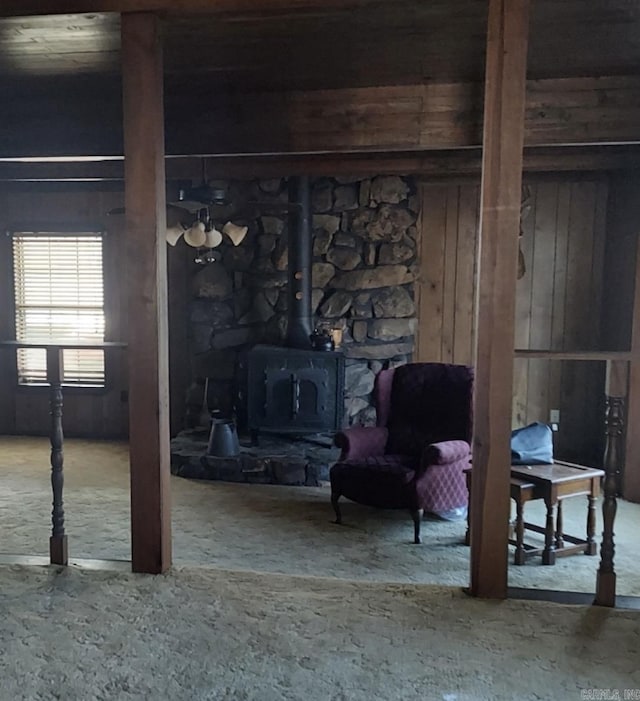 basement with a wood stove