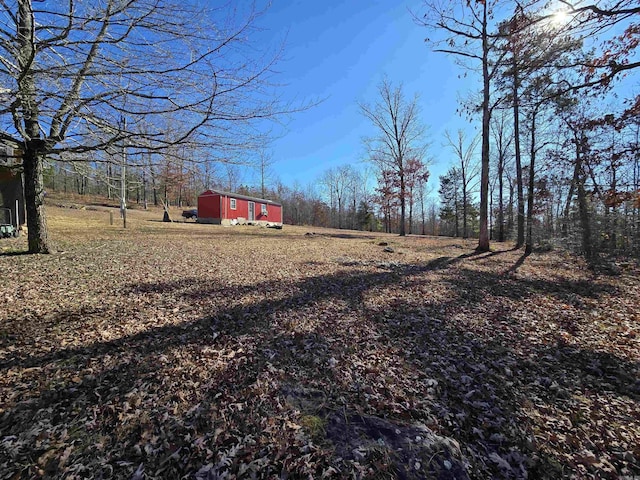 view of yard featuring an outdoor structure