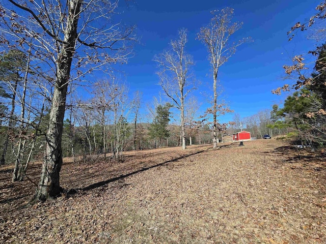 view of yard featuring a shed