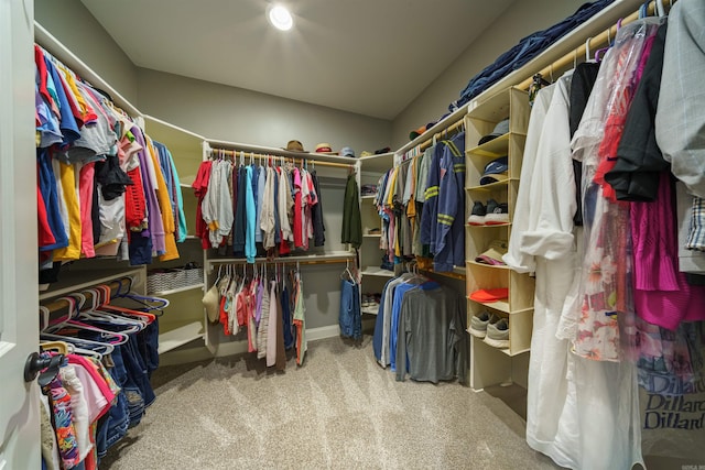 walk in closet featuring carpet floors