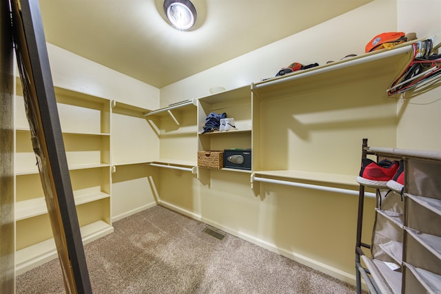 spacious closet featuring carpet floors