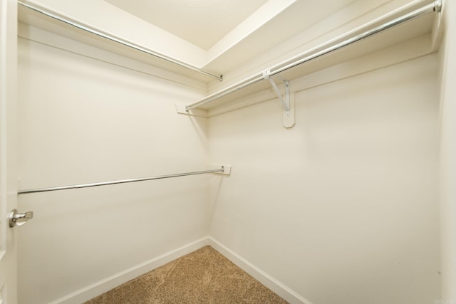 spacious closet with carpet flooring