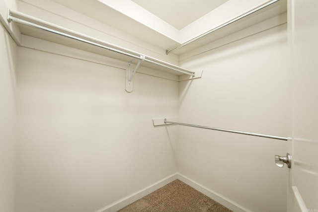 spacious closet with carpet floors