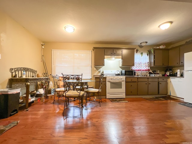 kitchen featuring hardwood / wood-style floors, white appliances, sink, and a wealth of natural light