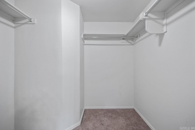 5900 Willow Way, Sherwood, AR 72117 - spacious closet with carpet flooring