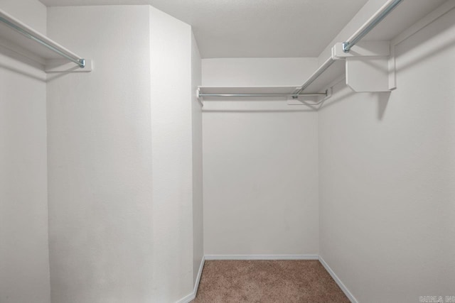 walk in closet featuring light carpet