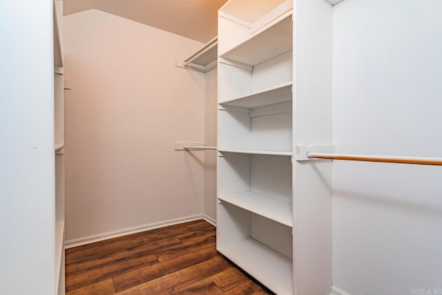 walk in closet featuring dark wood-type flooring