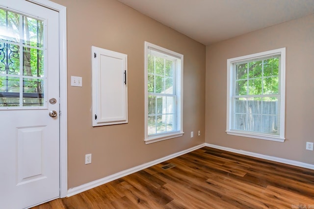 doorway with plenty of natural light and dark hardwood / wood-style flooring