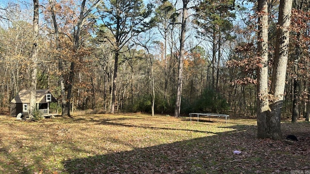 view of yard featuring a trampoline and a storage unit