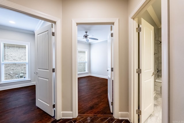 hall featuring dark hardwood / wood-style flooring and ornamental molding