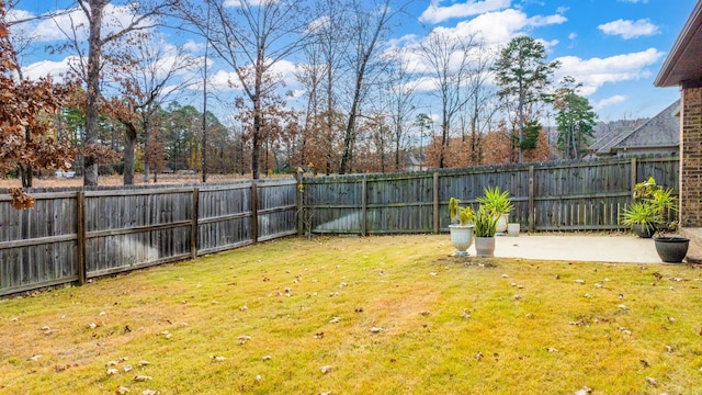 view of yard featuring a patio area