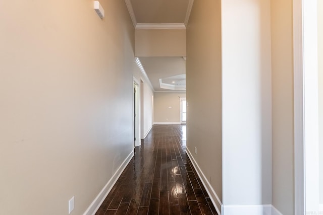 hall featuring dark wood-type flooring and ornamental molding