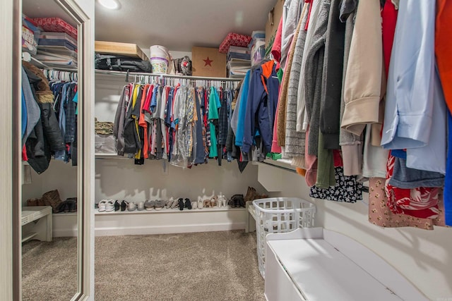 spacious closet featuring carpet