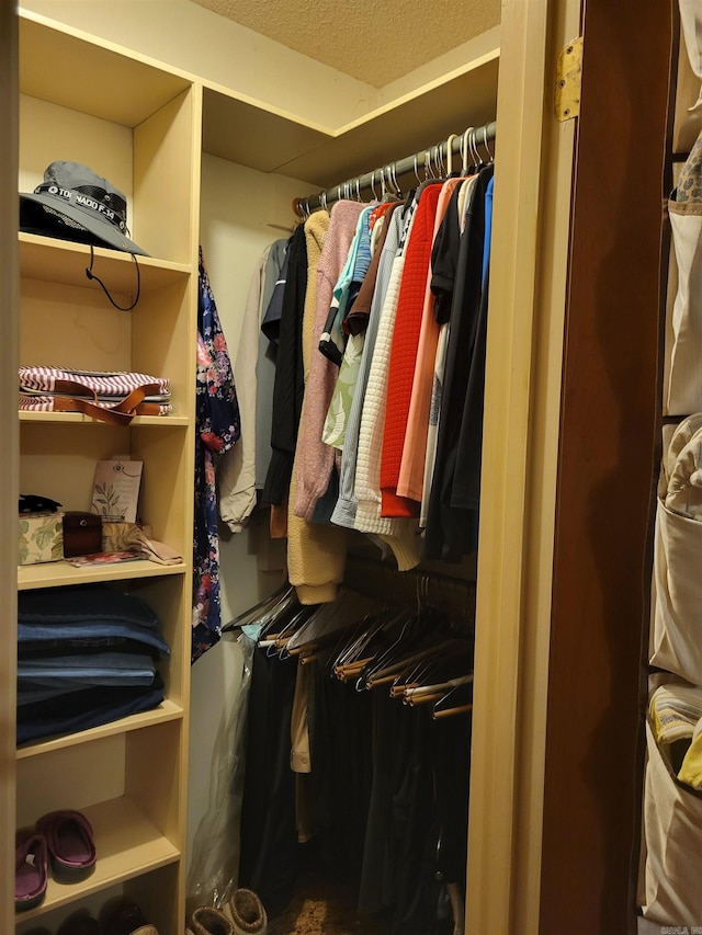 view of spacious closet