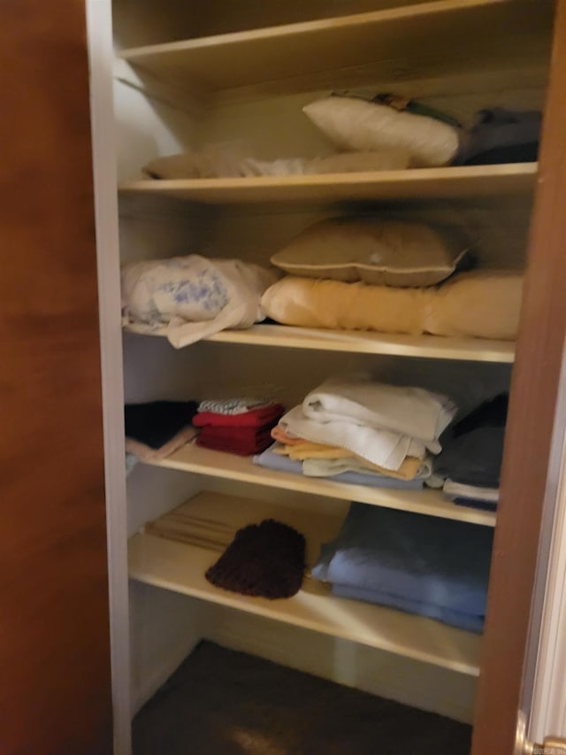 view of closet