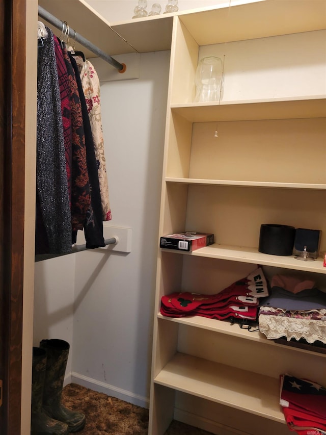 view of spacious closet