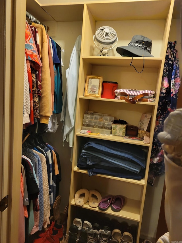 view of spacious closet