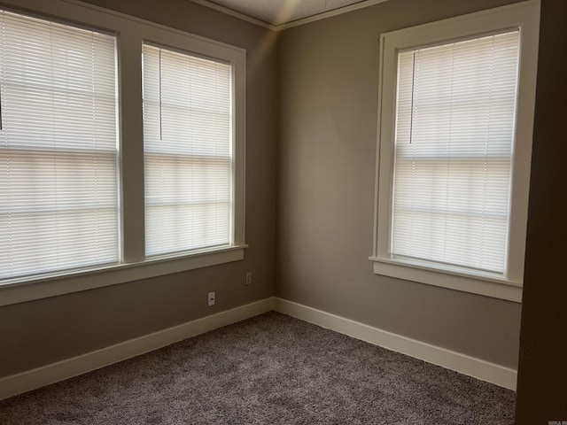 unfurnished room with carpet and crown molding