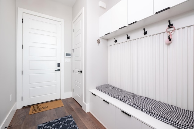 mudroom with dark wood-type flooring