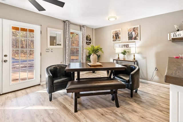 dining room featuring ceiling fan and light wood-type flooring