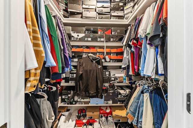 view of spacious closet