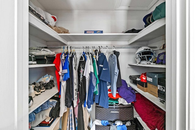 view of spacious closet