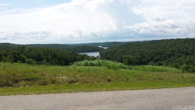 Address Not Disclosed, Mountain Home AR, 72653 land for sale