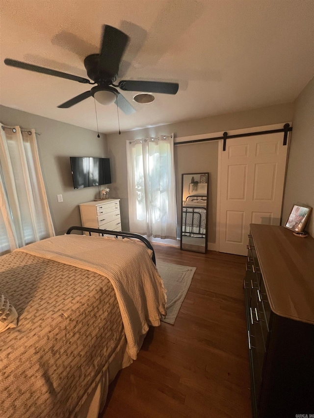 bedroom with dark hardwood / wood-style flooring, ceiling fan, and a barn door