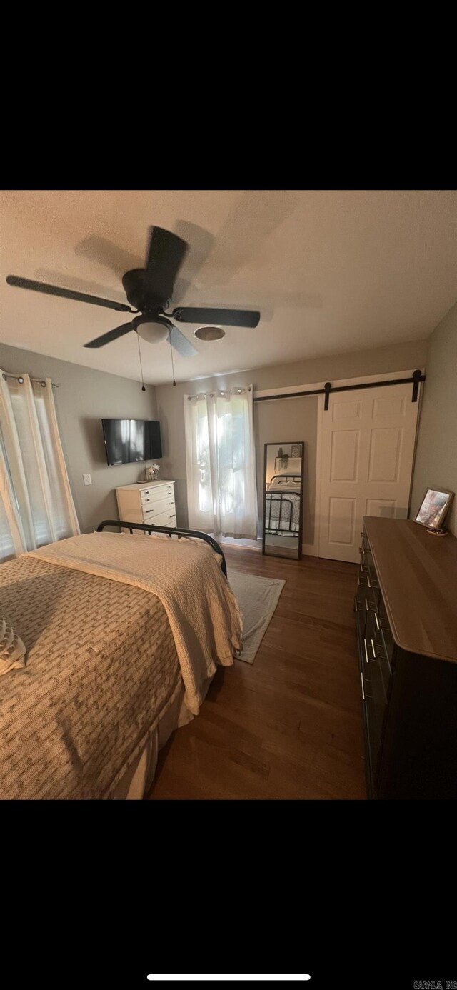 bedroom with a closet, a barn door, dark hardwood / wood-style floors, and ceiling fan