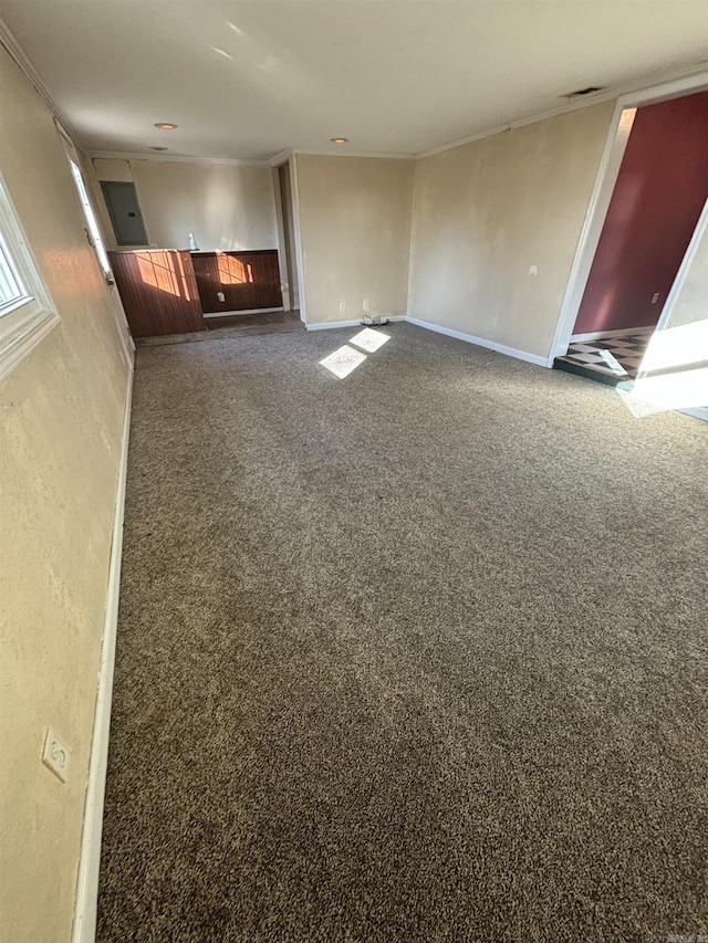 interior space featuring carpet