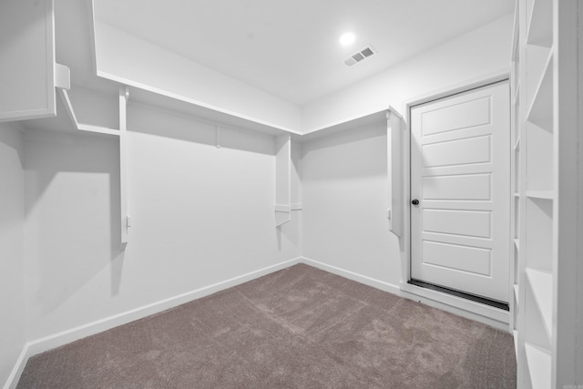 walk in closet featuring carpet flooring