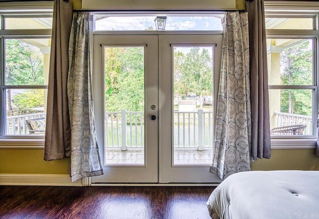 doorway with dark wood-type flooring, a wealth of natural light, and french doors