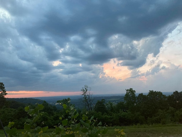 view of nature at dusk