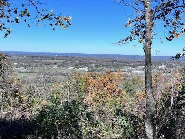 view of local wilderness