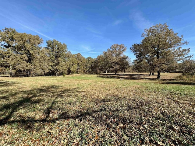 view of yard featuring a rural view