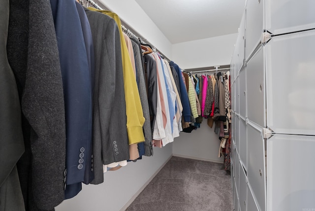 walk in closet with carpet