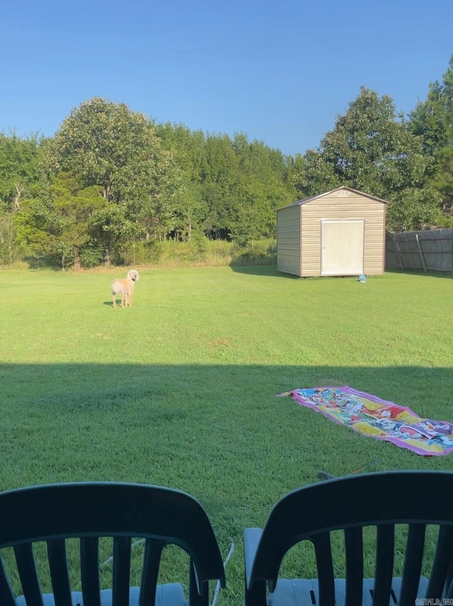 view of yard featuring a storage unit