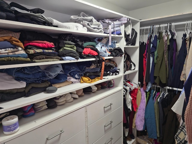 view of spacious closet