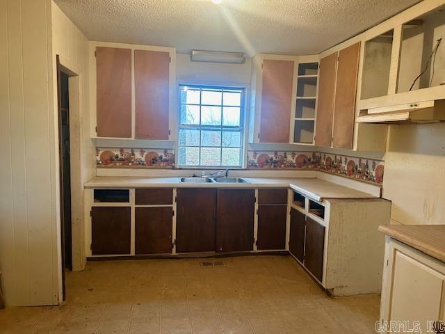 kitchen featuring dark brown cabinets, a textured ceiling, and sink