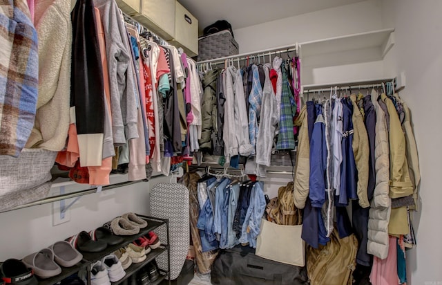 view of spacious closet